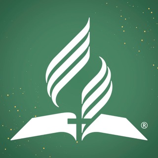 Логотип @vvo_news - ВВО News