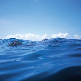 Логотип @vvooiidd - g Δ z e