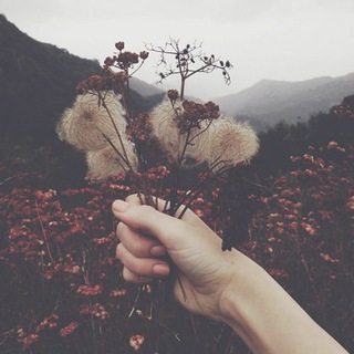 Логотип @vvootte - Aesthetics of life