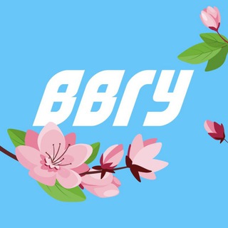 Логотип @vvsu_dv - ВВГУ