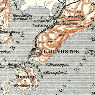 Логотип @vvtopo - Патрокл и Горностай