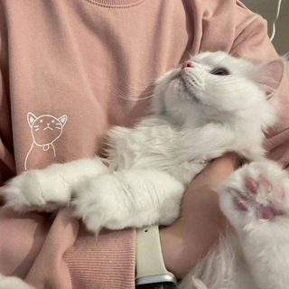 Логотип @vvvtry - ˖ֺ𓏲࣪. печенье с предсказаниемⴰ༢