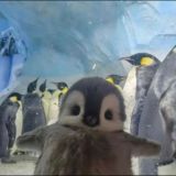 Логотип @vymusicvy - 🖤 𝓥𝓨-𝓶𝓾𝓼𝓲𝓬🖤