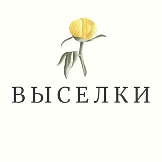 Логотип @vyselki_zn - Выселки Журавская Малеванный Казаче Малеваный Свободный Мирный Знакомства Общение Чат Барахолка Реклама Объявления Новости