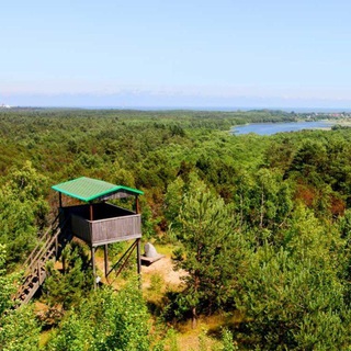 Логотип @vysotamyullera - Высота Мюллера