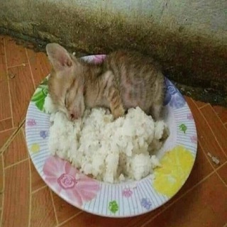 Логотип @vytexlife - bim bim bam bam