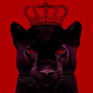 Логотип @vz_piar - ВЗАИМНАЯ ПОДПИСКА | РЕАКЦИИ