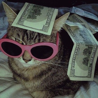 Логотип @vzaimnaya7 - Взаимные подписки | взаимная реакция💙😻