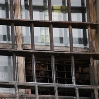 Логотип @vzgl_scvozj_reshotcu - Взгляд сквозь решетку