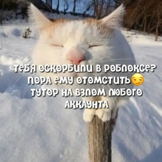 Логотип @vzlowvxx - ВЗЛОМ РОБЛОКС АККАУНТОВ