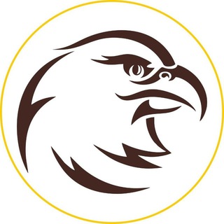 Логотип @vzor57 - Орлиный взор