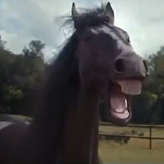 Логотип @vzorghal - Взоржал!