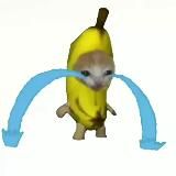 взрослая жизнь