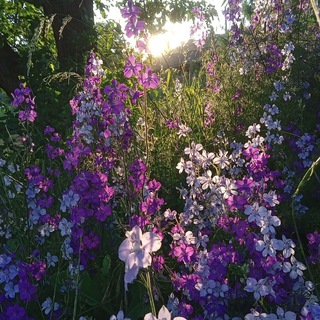 Логотип @vzuuuuh - Вжух! И комментарии