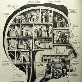 Логотип @w0rk_your_head - Работай головой