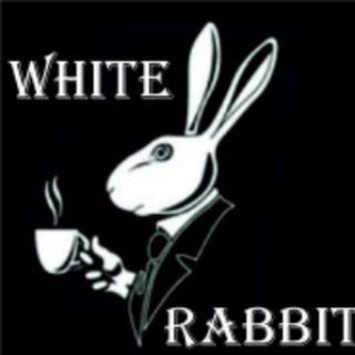 Логотип @w_rabbite - Чат mr.Белый Зайц