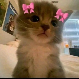 Логотип @waant_1 - Хочу