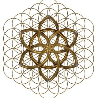 Логотип @wahrheiten_des_lebens - WAHRHEITEN DES LEBENS