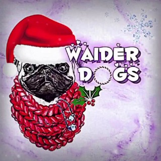 Логотип @waiderdogs - ️️༉‧₊˚✧️𝗪𝗮𝗶𝗱𝗲𝗿.𝗱𝗼𝗴𝘀⋰˚🤍