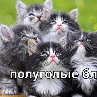 Логотип @waifu2_5d - Уголок с вайфу