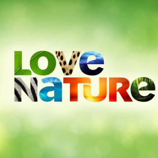 Логотип @wait_moment - Love Nature