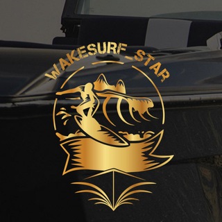 Логотип @wakesurf_star - ВЕЙКСЕРФ