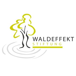 Логотип @waldeffekt - 🌱Waldeffekt Stiftung ☘️