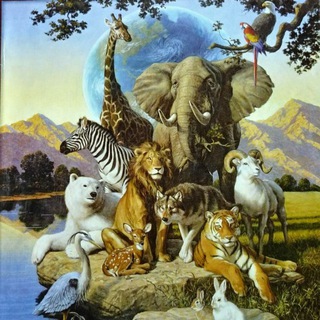 Логотип @waldlaeufer_naturbeobachtungen - Waldläufer´s Naturbeobachtungen