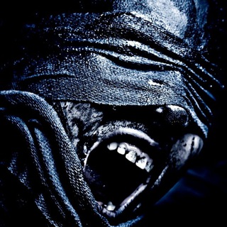 Логотип @wall_paper_girls_chat - Oboykj обсуждение