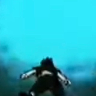 Логотип @wallhack_cheat - BrutalTripper