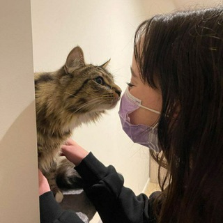 Логотип @walsyxq - уютная песня♡