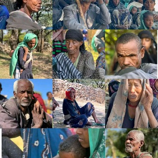 Логотип @waltajjii_walaloo - "WALALOON JAALALA"