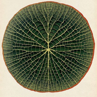 Логотип @wandelzeiten - WANDELZEIT🕊