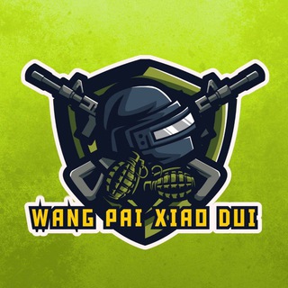 Логотип @wangpaixiaodui - 王牌小队｜ETH & SOL & BSC