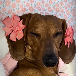 Логотип @wanttolaugh - Хочу смеяться 5 минут