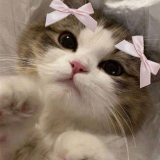 Логотип @warashelonru - Взаимные подписки ❤️ пиар