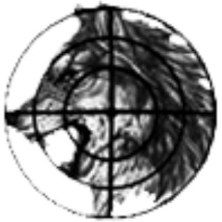 Логотип @warchechnya96 - Чеченская война