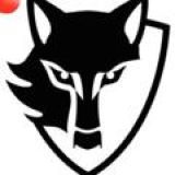 Логотип @warewolfyouth - WAreWolf Youth