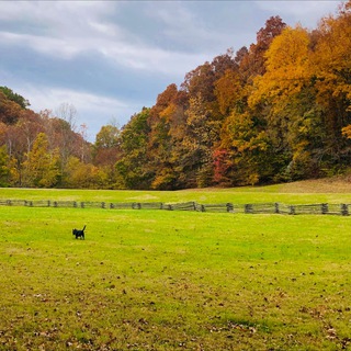 Логотип @warninghispeople2 - Warning His People 2