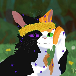 Логотип @warriorcatsr0leplay - ·•°•·Ролевая Коты-Воители·•°•·