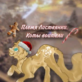 Логотип @warriors70 - ᛝ Ⲡⲗⲉⲙя Ⲗυⲥⲧⲃяⲏⲕυ. ⁺₊ кв