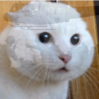 Логотип @warsaw_foru - Чат