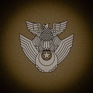 Логотип @warsreel - Военная правда