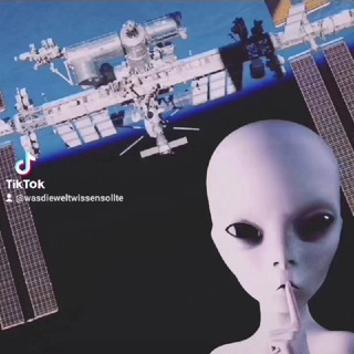 Логотип @was_die_welt_wissen_sollte - Was die Welt wissen sollte