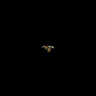 Логотип @waspmagaz - WASP KILLER STORE