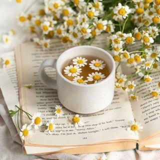 Логотип @water_chamomile - Вода с ромашкой | Книжный блог 📚