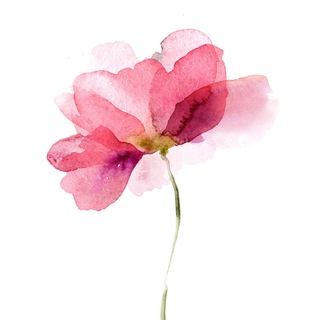 Логотип @waterbotanic - Ботаническая акварель