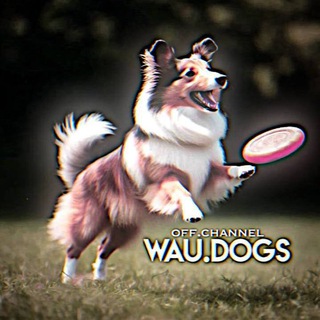 Логотип @waudogschannel - 🩷𝑾𝑨𝑼..𝑫𝑶𝑮𝑺ᶜʰᵃᶰᶰᵉᶫ🫀