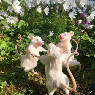 Логотип @waufbmouse - подвальные тянки 😈