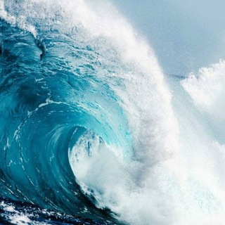 Логотип @wave_support_volna - Волна 🌊 Доктора Ника. Группа поддержки!